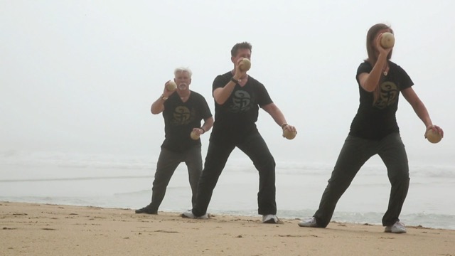 スポーツ・フィットネス Tokai Defense Coaching & Drills DVD 陸川 章 Tokai Defense Coaching ＆ Drills【DVD2枚組・分売不可